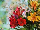 Alstroemeria