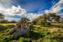 Santa Rosa Plateau