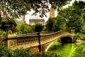 Bow Bridge, Central Park, NYC