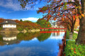 Odawara Autumn