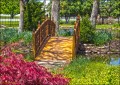 Walking Bridge at Garden City Nursery