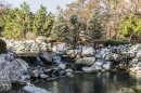 Small Waterfall in Edmond, Oklahoma