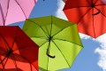 The Colourful Life