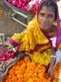 Flower Seller at the Indian Bazaar