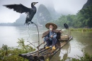 Cormorant Fisherman and His Bird