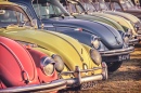 Vintage Volkswagen Beetles