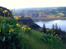 Columbia River