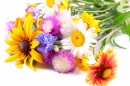 Bright Wildflowers