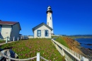 Pigeon Point Lighthouse, California