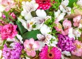 Beautiful Bouquet of Bright Flowers