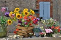 Bouquets for Sale in Provence