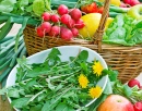 Dandelion Leaves, Fruits and Vegetables