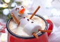 Hot Chocolate and Marshmallow Snowman