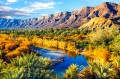 Oasis Landscape in the Moroccan Desert