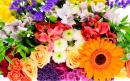 Flower Bouquet