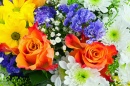 Bouquet of Chrysanthemums and Roses