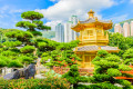 Chinese Pavilion at the Hong Kong Park