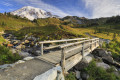 Mt. Rainier, Pacific Northwest