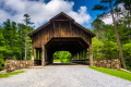 Dupont State Forest, North Carolina