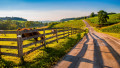 Rural Backroad in York County, PA