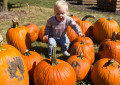 Amy among the Pumpkins