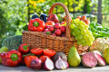 Fresh Vegetables in the Garden