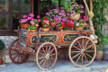 Flower Cart