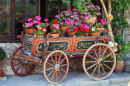 Flower Cart