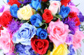 Colorful Floral Arrangement