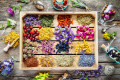 Healing Herbs