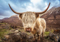 Glamaig Mountains of Scotland