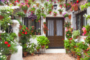 Typical House in Cordoba, Spain