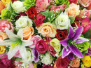 Colorful Artificial Flowers