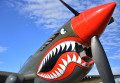 Curtiss P-40 Kittyhawk