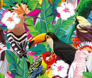 Tropical Birds