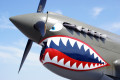 P-40 Warhawk Built in 1941