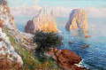 View of the Faraglioni, Capri