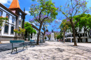 Funchal, Madeira Island, Portugal