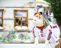 Cat Show in Kyiv, Ukraine