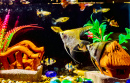 Aquarium