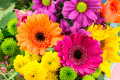 Gerbera Arrangement