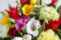 Bouquet of Freesias, Carnations and Tulips