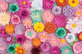 Handmade Paper Flowers