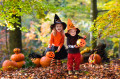 Playing in an Autumn Park