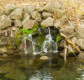 MK Nature Center, Boise, ID