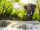 Erawan Waterfall, Kanchanaburi, Thailand