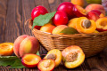 Peaches, Plums and Apricots