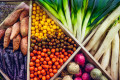 Fresh Vegetables at the Market