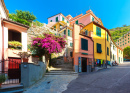 Manarola Fishing Village, Liguria, Italy