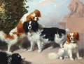 King Charles Spaniels